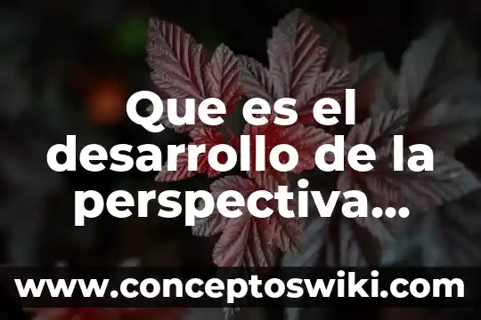 Qué es firma digital Costa Rica 7 Que es el desarrollo de la perspectiva teo rica