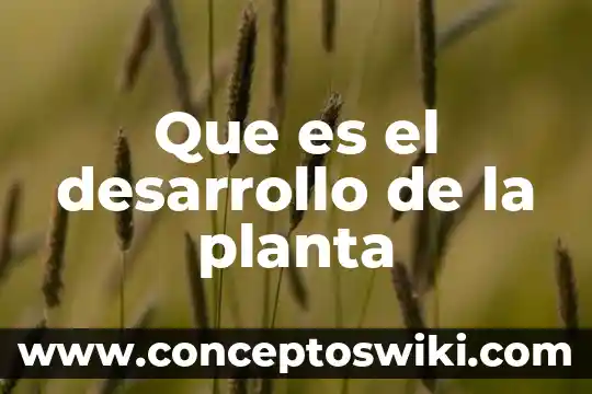 Que es el plan anual de desarrollo archivistico 3 Que es el desarrollo de la planta