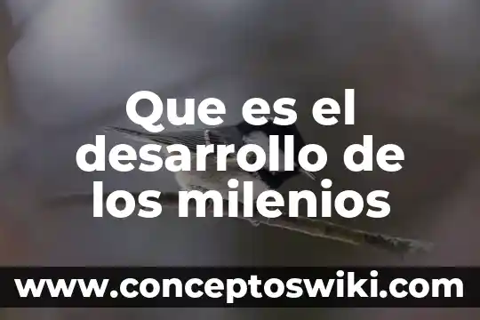 Que es desarrollo de innovacion 8 Que es el desarrollo de los milenios