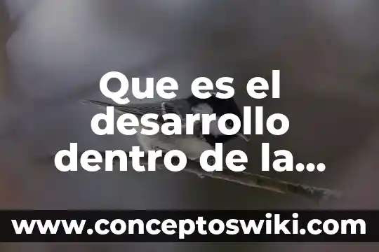 Que es el resultado dentro de una investigacion de mercados 6 Que es el desarrollo dentro de la capacitacion