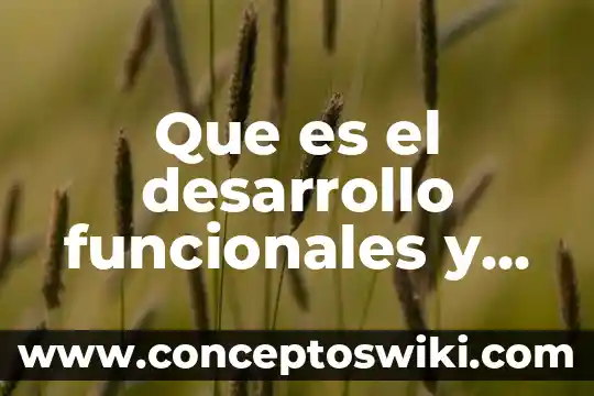 Que es un comunicado de textos funcionales 5 Que es el desarrollo funcionales y como se compone