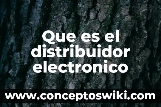 Que es formato de correo electronico 3 Que es el distribuidor electronico