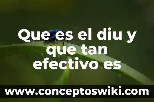 Qué es un rele como funciona 5 Que es el diu y que tan efectivo es