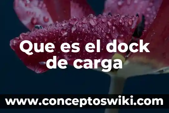 Que es la carga y descarga de buques 7 Que es el dock de carga