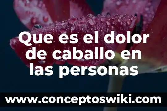 La jierva cola de caballo para que es buena 3 Que es el dolor de caballo en las personas