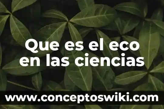 Que es cementos ciencias de los materiales 4 Que es el eco en las ciencias