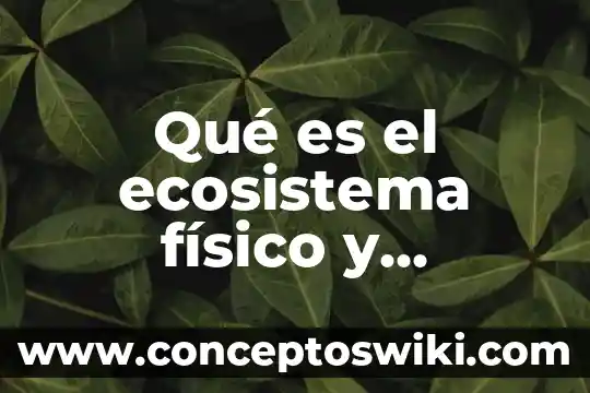 Que es un banner fisico 3 Qué es el ecosistema físico y biológicos