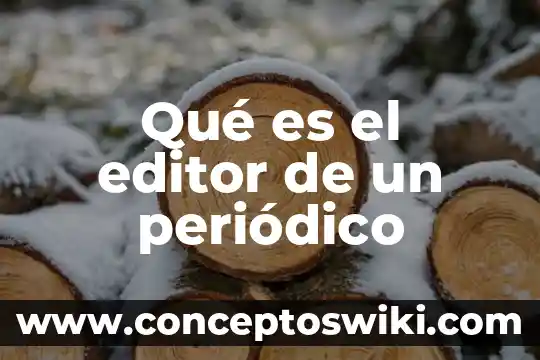 Que es teoria del color en un editor de fotos 3 Qué es el editor de un periódico