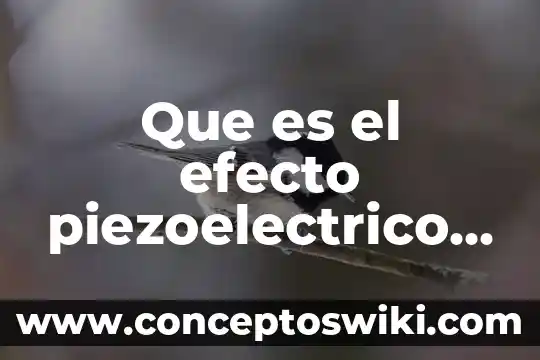 Qué es la hemodiálisis técnica y materiales 8 Que es el efecto piezoelectrico y materiales