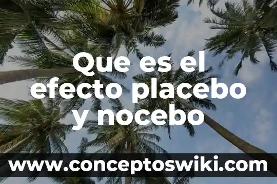 Que es una utilidad para efecto de impuestos 4 Que es el efecto placebo y nocebo