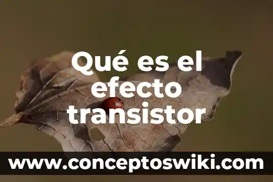 Punto de operacion transistor que es 4 Qué es el efecto transistor