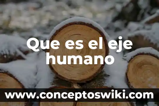Que es el yeyuno humano 3 Que es el eje humano