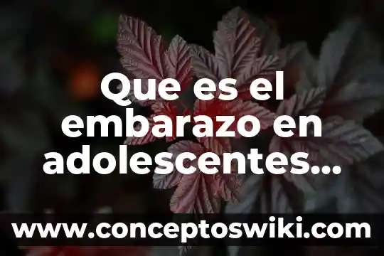 Definición de lo que es territorio según autores 5 Que es el embarazo en adolescentes segun la oms