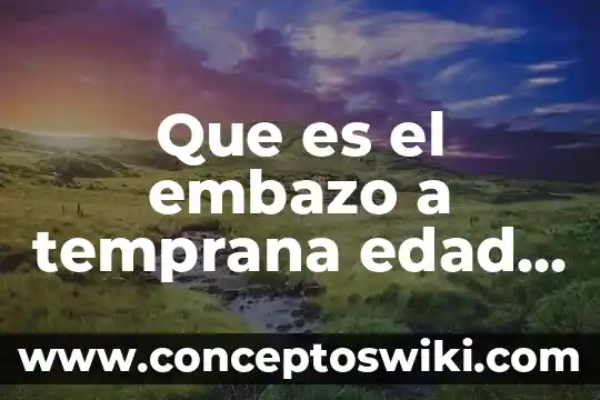 Que es el embarazo a temprana edad definicion 6 Que es el embazo a temprana edad seguj el autor