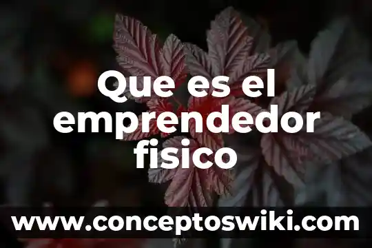 Qué es el ecosistema físico y biológicos 3 Que es el emprendedor fisico