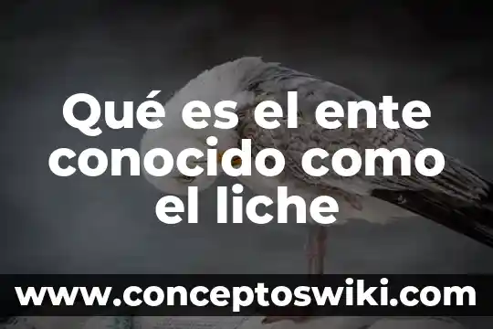 Qué es monousuario y multiusuario ejemplos 3 Qué es el ente conocido como el liche