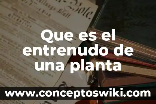 Ubicación de la planta que es 4 Que es el entrenudo de una planta