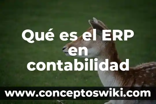 Que es interes por cobrar en contabilidad 4 Qué es el ERP en contabilidad