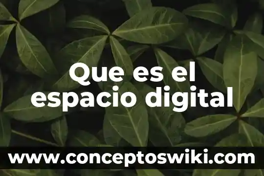 Que es el espacio pleural y que contiene 4 Que es el espacio digital