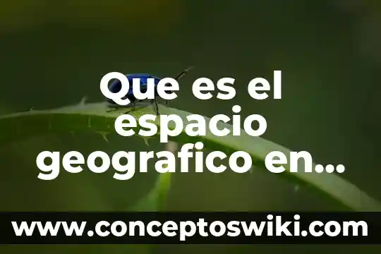 Que es espacio vacio en arte 6 Que es el espacio geografico en una investigacion