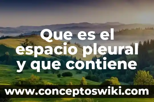 Que es un espacio natural y geografico yahoo 3 Que es el espacio pleural y que contiene