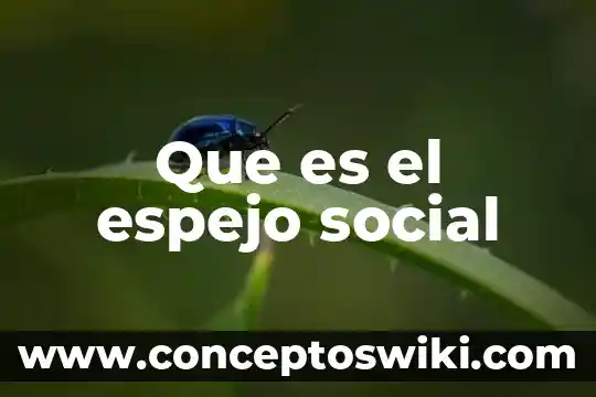 Que es hacer espejo en acapulco shore 6 Que es el espejo social