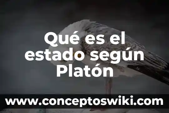Según Platón que es filosofar 5 Qué es el estado según Platón