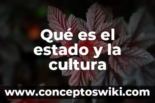 Qué es un microprocesador modernos 5 Qué es el estado y la cultura