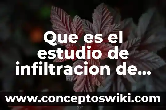 Qué es agua artificial 7 Que es el estudio de infiltracion de agua