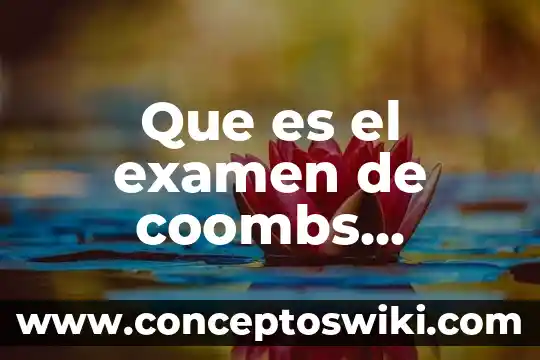 Que es examen de gravidez y humanida 3 Que es el examen de coombs directo