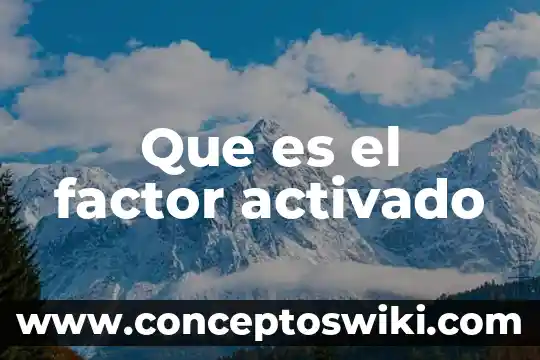 Que es el factor interno en la toma de desicion 7 Que es el factor activado