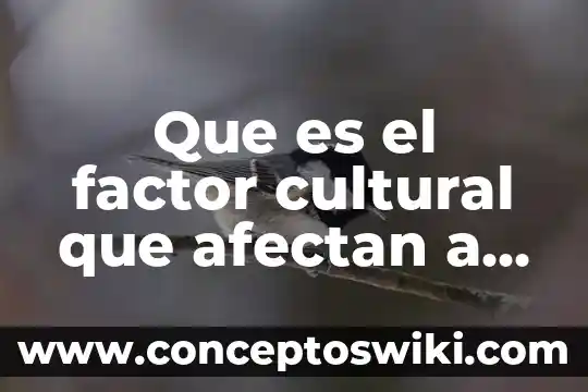 Que es el factor interno en la toma de desicion 3 Que es el factor cultural que afectan a un cultivo