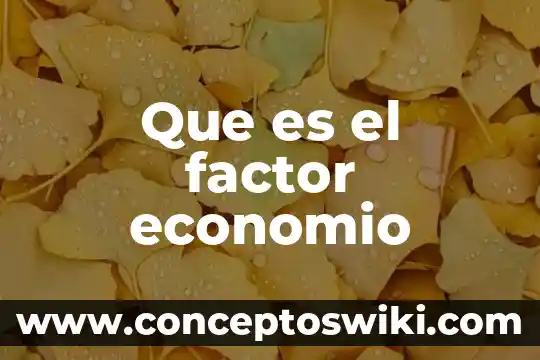 Que es el factor interno en la toma de desicion 6 Que es el factor economio