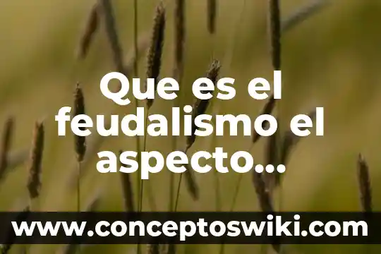 Que es objeto juicio politico 3 Que es el feudalismo el aspecto politico