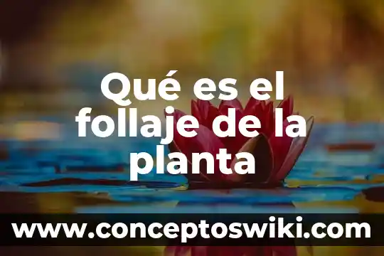 Que es una planta compacta de pretratamiento 6 Qué es el follaje de la planta