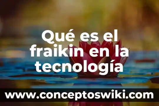 Qué es DIF en la tecnología 8 Qué es el fraikin en la tecnología
