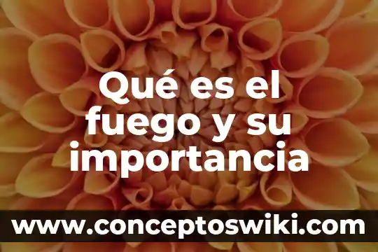 Que es el ecosistema marino y su importancia 8 Qué es el fuego y su importancia