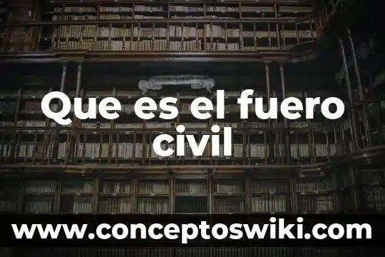 Como explicarle a un niño que es un fuero 3 Que es el fuero civil