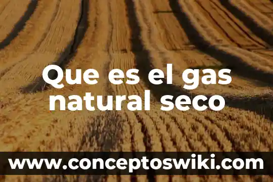 Para que es buena el agua con gas 3 Que es el gas natural seco