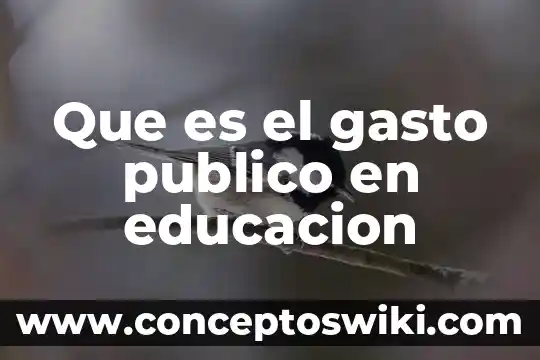 Que es el gasto volumetrico ejemplos 3 Que es el gasto publico en educacion