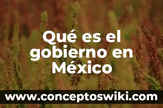 Qué es bicg latam mexico 6 Qué es el gobierno en México