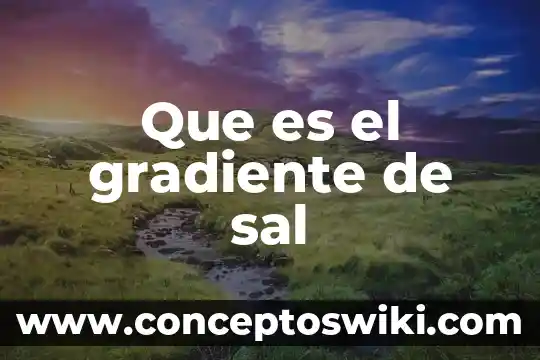 Sal para pastelería para que es 3 Que es el gradiente de sal