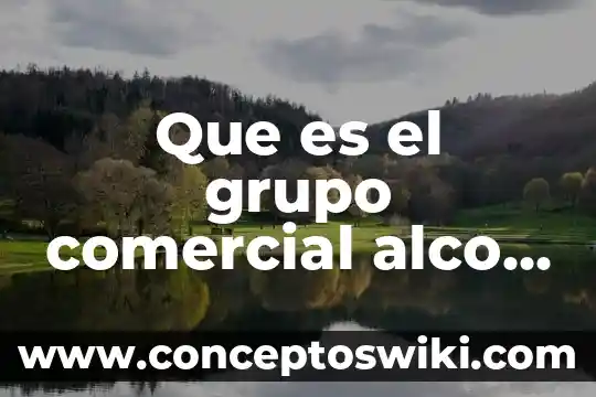 Hojalata mexicana s.a de cv que es 6 Que es el grupo comercial alco s.a de c.v