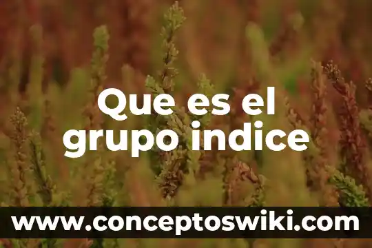 Grupo de estudio que es 3 Que es el grupo indice