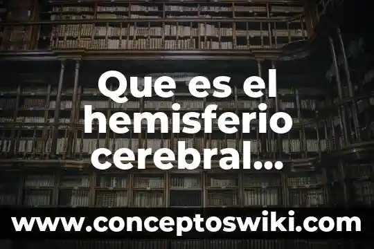Que es un precedente en derecho 8 Que es el hemisferio cerebral derecho