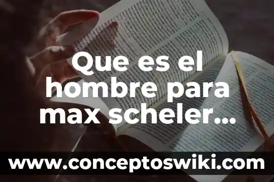 Max weber ciencias sociales que es 8 Que es el hombre para max scheler conclusion que llega
