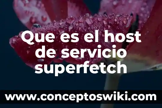 Que es nombre de host en computadora 4 Que es el host de servicio superfetch