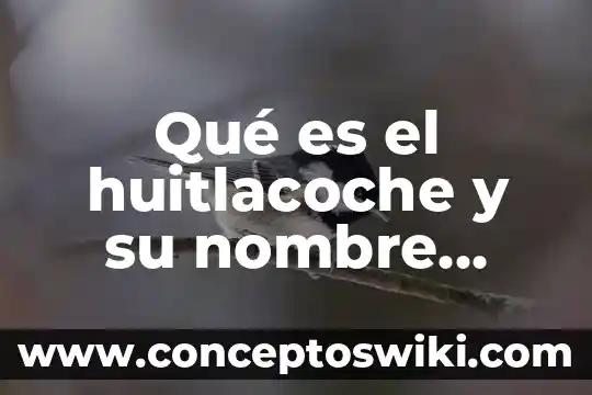 Que es el metodo cientifico memoria 4 Qué es el huitlacoche y su nombre científico