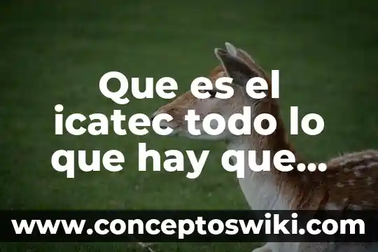 Que es saber convivir con los demas 3 Que es el icatec todo lo que hay que saber