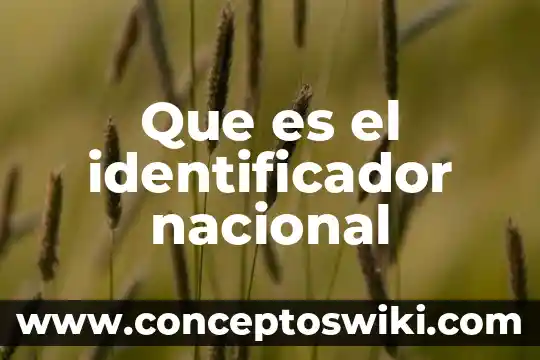 Que es el nombre o identificador de trabajo 4 Que es el identificador nacional
